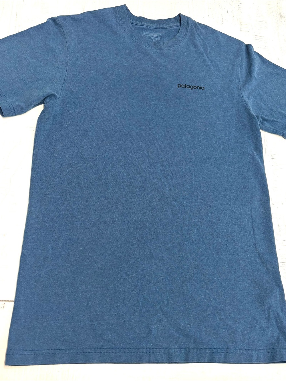 Patagonia Men’s Short Sleeve Tee in Blue Logo